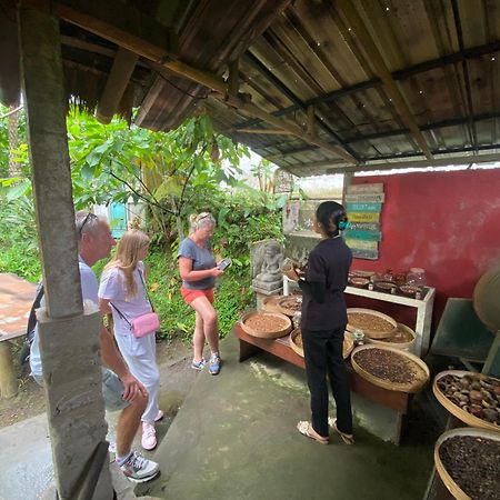 Badini Homestay Pemuteran Exteriér fotografie