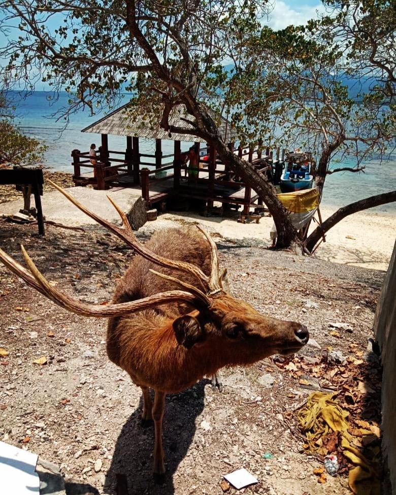 Badini Homestay Pemuteran Exteriér fotografie